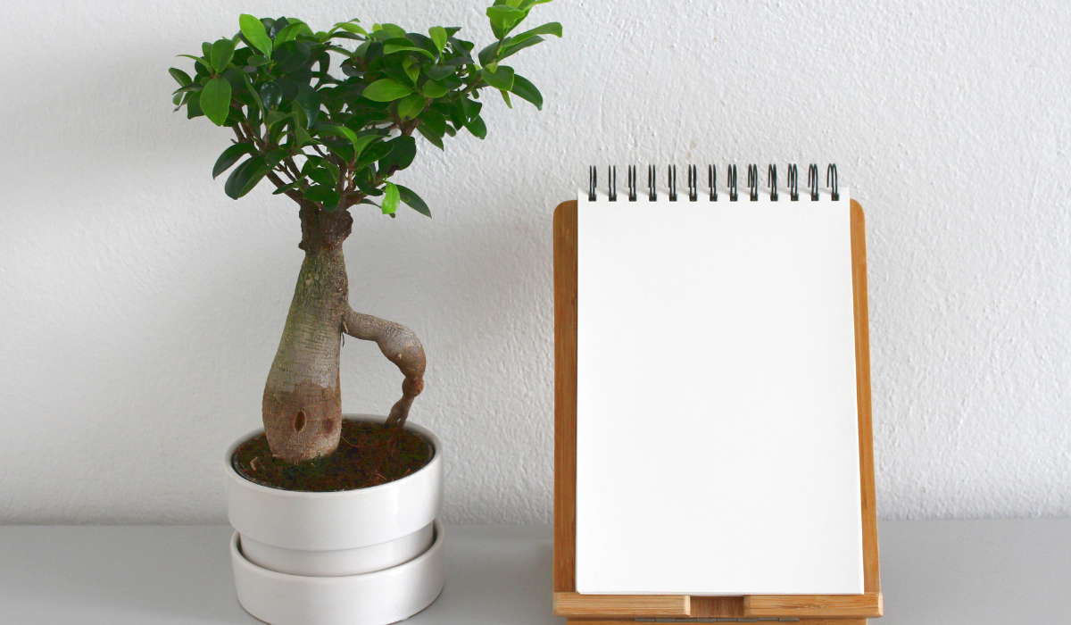 Ezeket ne tedd a lakásodba, ha szeretnéd bevonzani a pozitív dolgokat!