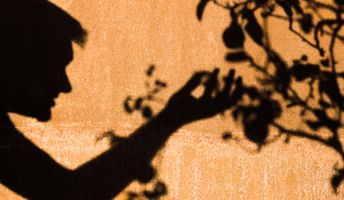 A Bűnök és Bűnbeesés Pszichológiája!