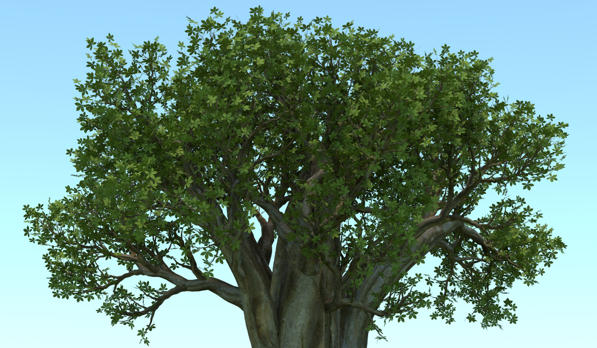 A Történet Amit Soha Nem Felejtesz El! Csupán 5 Perc Elolvasni: