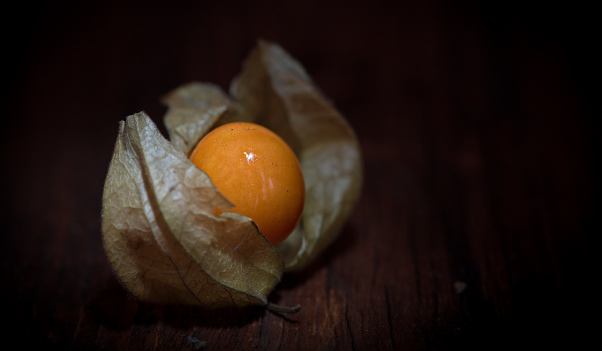 Újraépíti a Májat és a Vastagbelet ez az Igazán Ritka és Különleges Növény