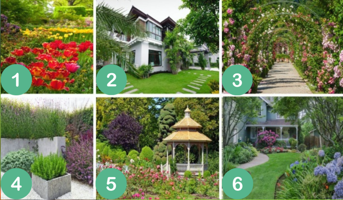 Párkapcsolati Boldogságmérő Teszt: Válassz 1 Kertet