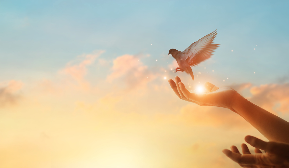 15 mély rumi idézet, ami reményt ad az életben