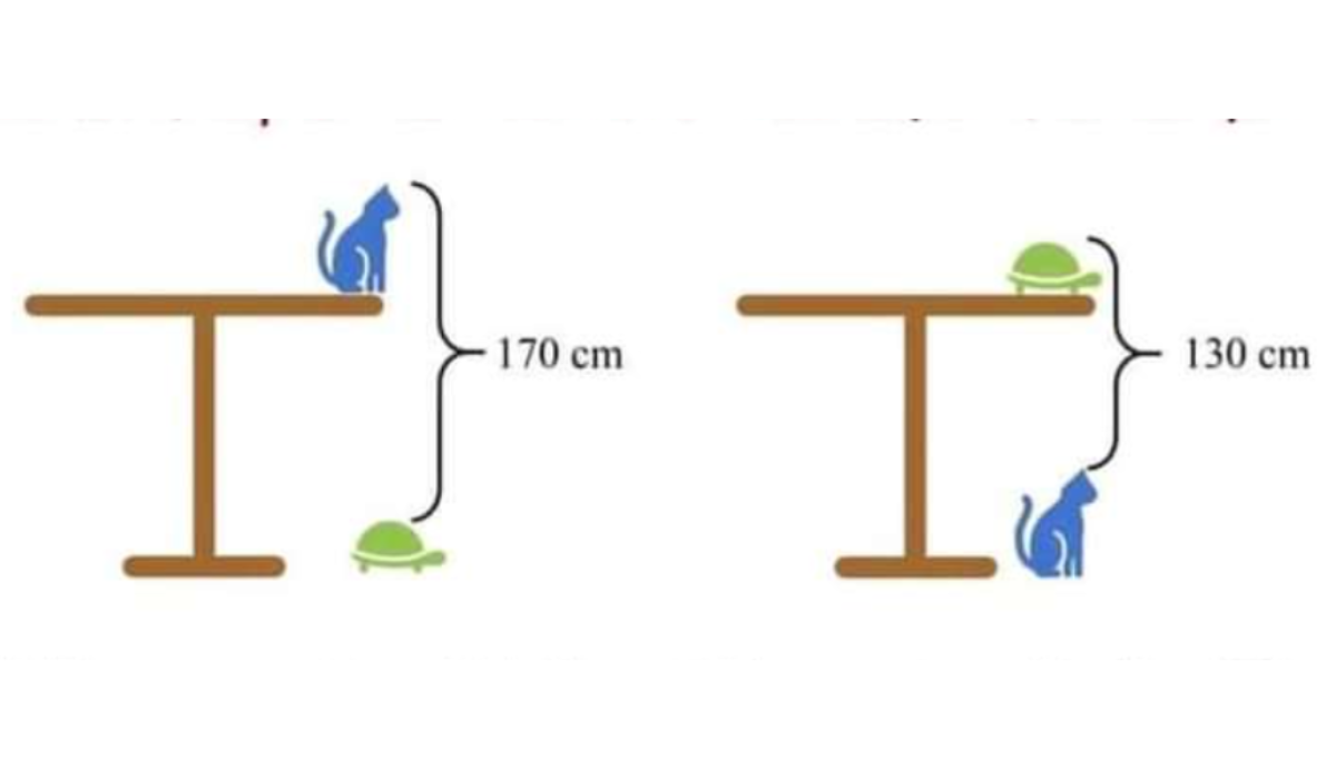 Az emberek 99%-a nem tudja megoldani! Szerinted milyen magas az asztal?