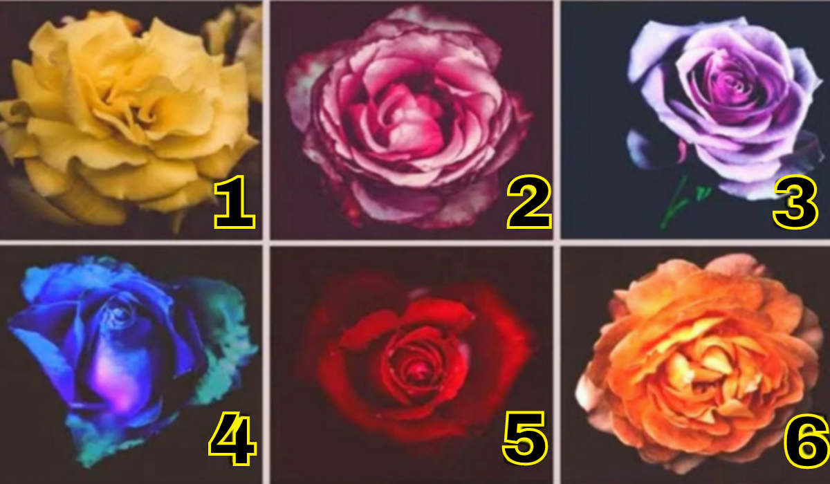 Milyen Ember Vagy a Lelked Mélyén? Válassz 1 Rózsát és Tudd Meg Ki Vagy Valójában