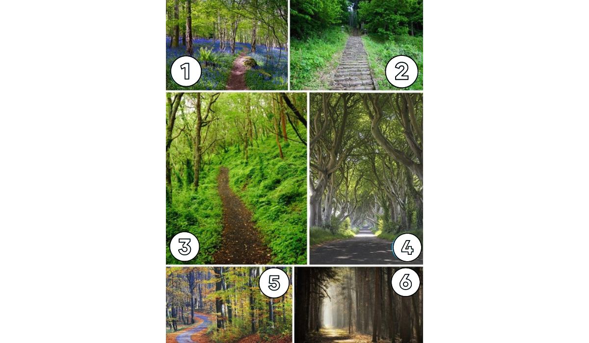 Szerény, bátor, vagy megfontolt személyiség vagy? Válassz 1 ösvényt, mindent elárul rólad