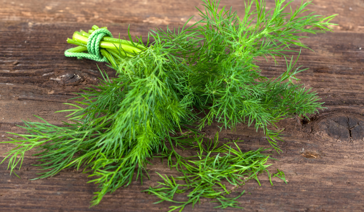 Amit senki nem mond el a kaporról! Eddig mindannyian rosszul használtuk