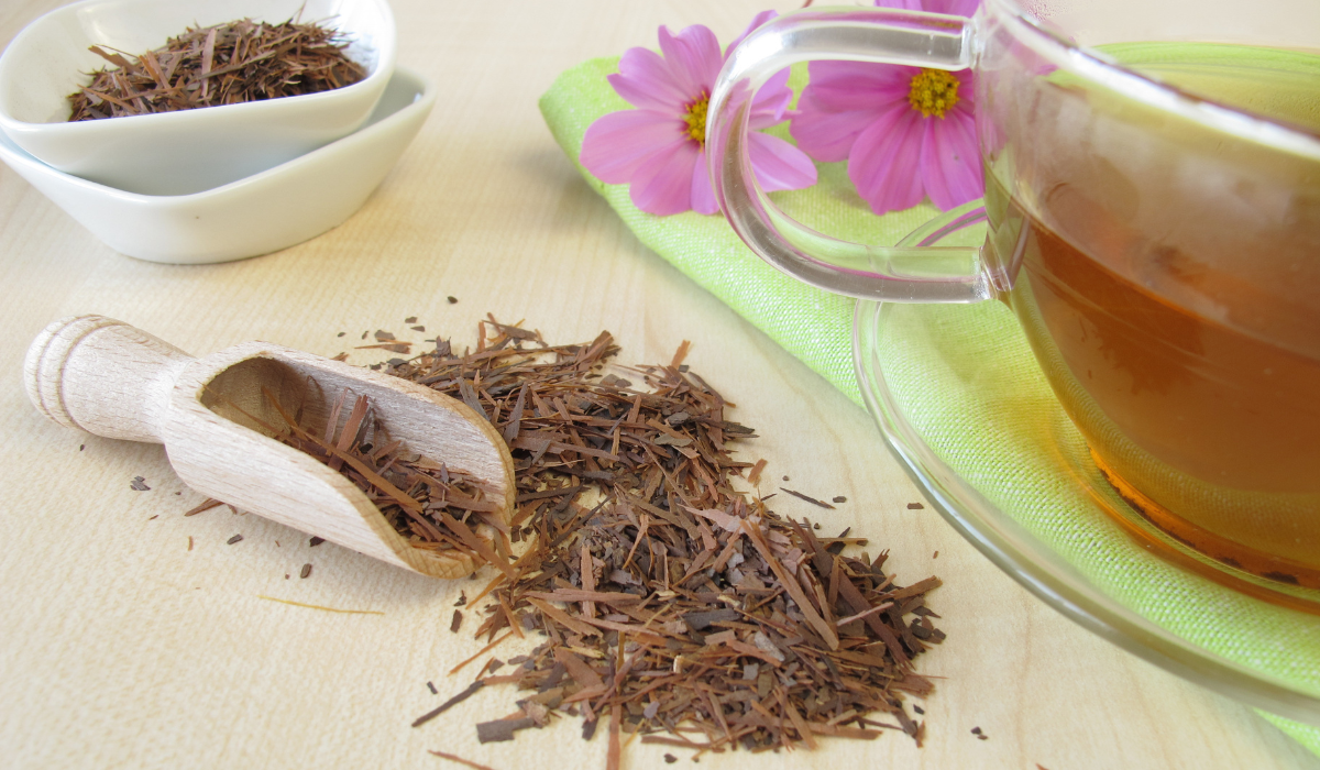 Ősi indián főzet tartja lázban a tudósokat, a különleges növény miatt élnek ilyen sokáig erőben és egészségben az ott lévő törzsek?