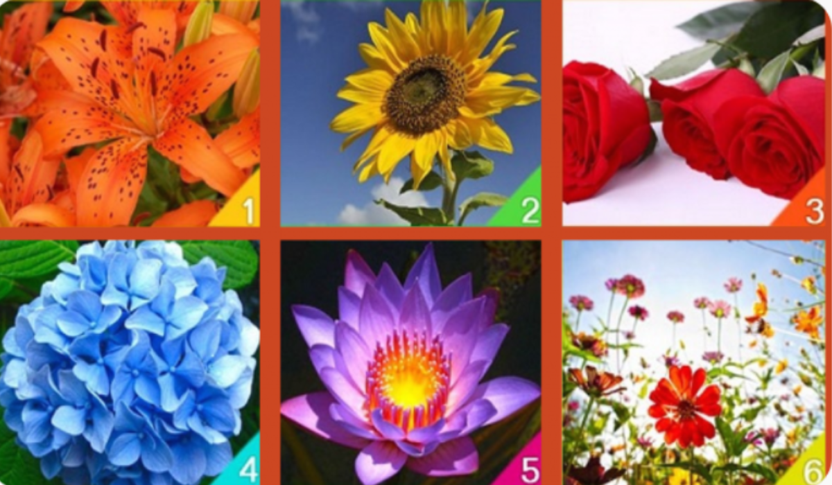 Az egyik virág a lelked mélyét tükrözi! Te melyiket választod?