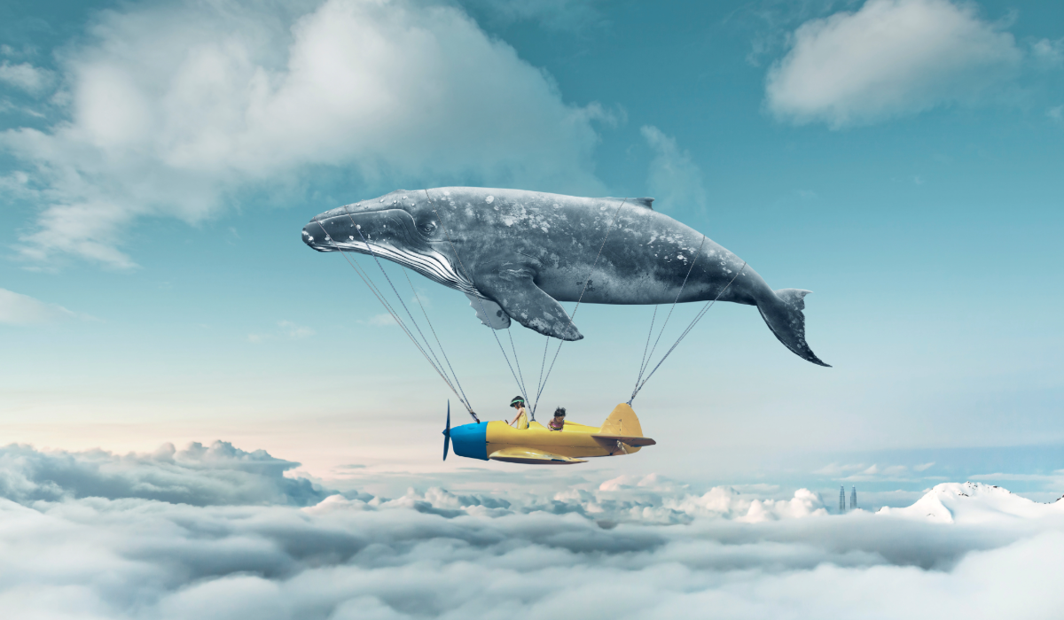 Rengeteg pénzhez fogsz jutni ha ezt látod álmodban! De csak ha észreveszed