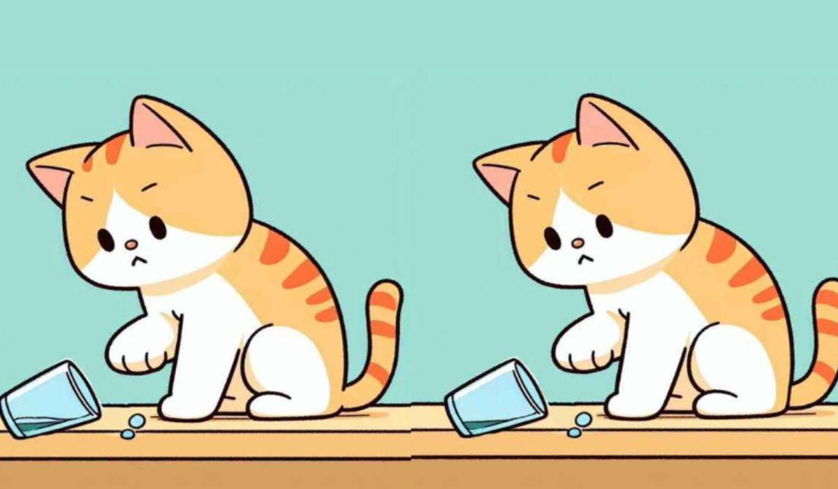 Megtalálod az összes különbséget a két kép között? Csak az igazi géniuszoknak sikerül