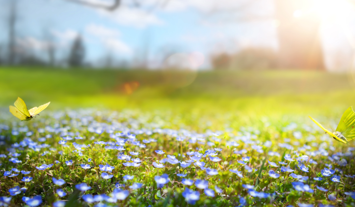 Az összes áprilisi népi időjárás megfigyelés egy helyen