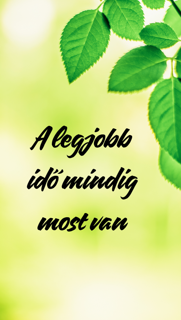 kepernyokep-szuz-csillagjegynek