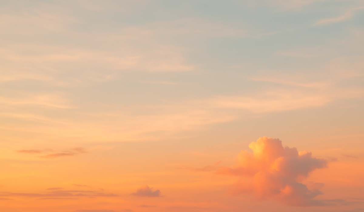 12 meglepő idézet Maya Angeloutól, Amerika legbölcsebb asszonyától