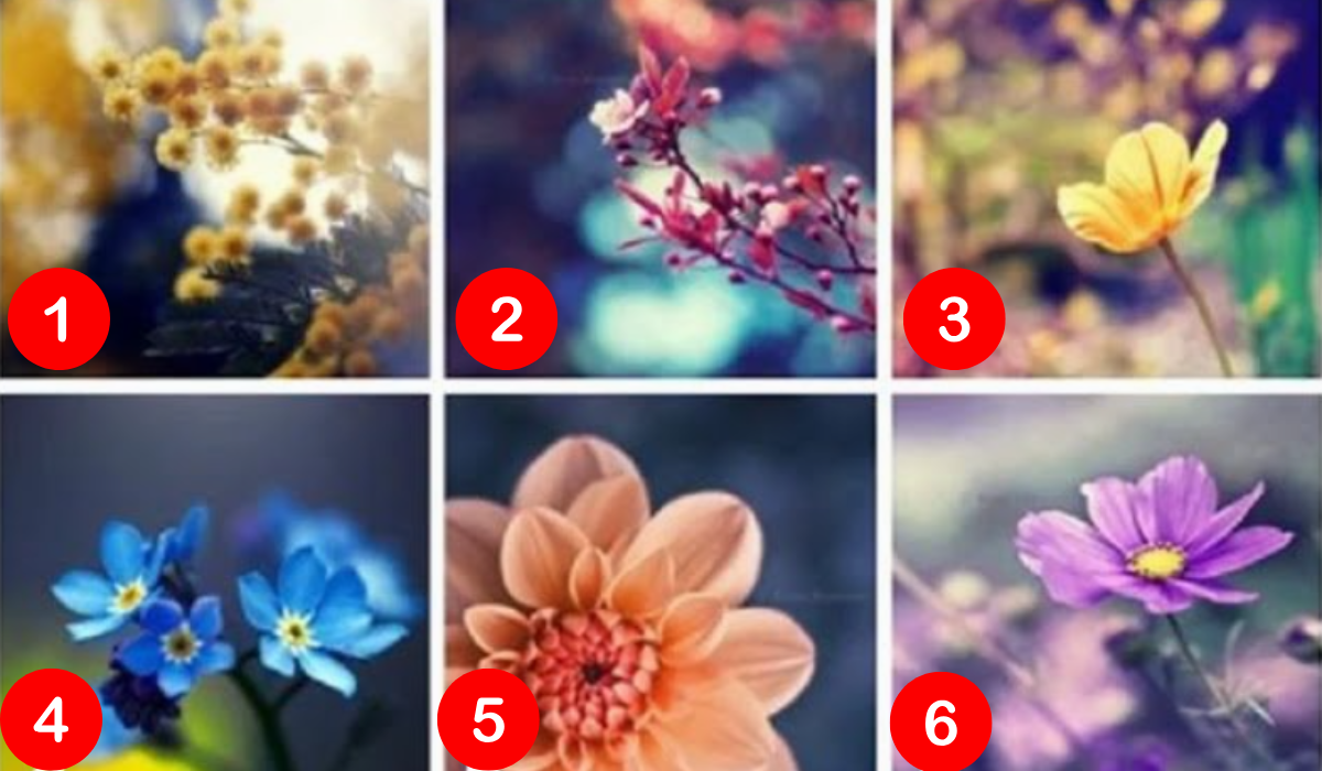 Válaszd ki a legszimpatikusabb virágot – elárulja, mit üzen a lelked