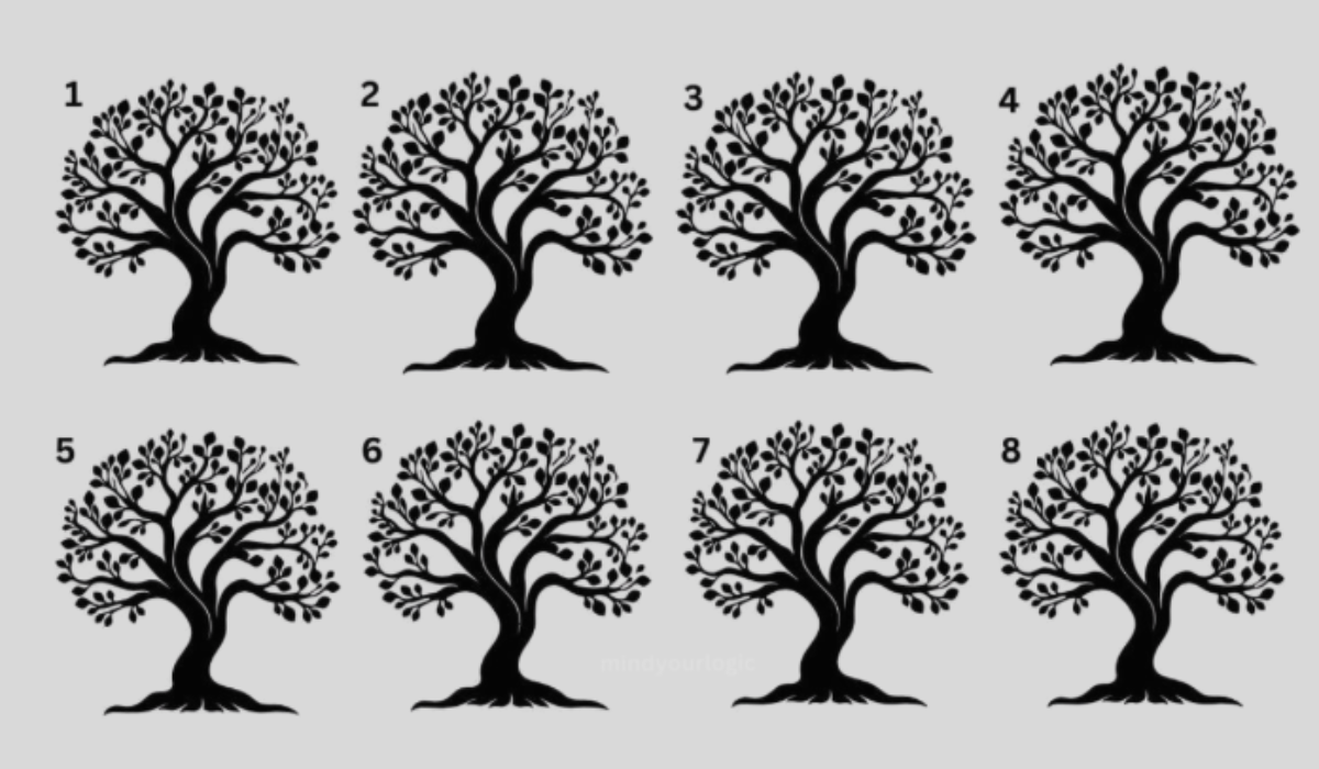 Kiemelkedően magas az IQ-d ha a fák között megtalálod a kakukktojást! Neked sikerült?