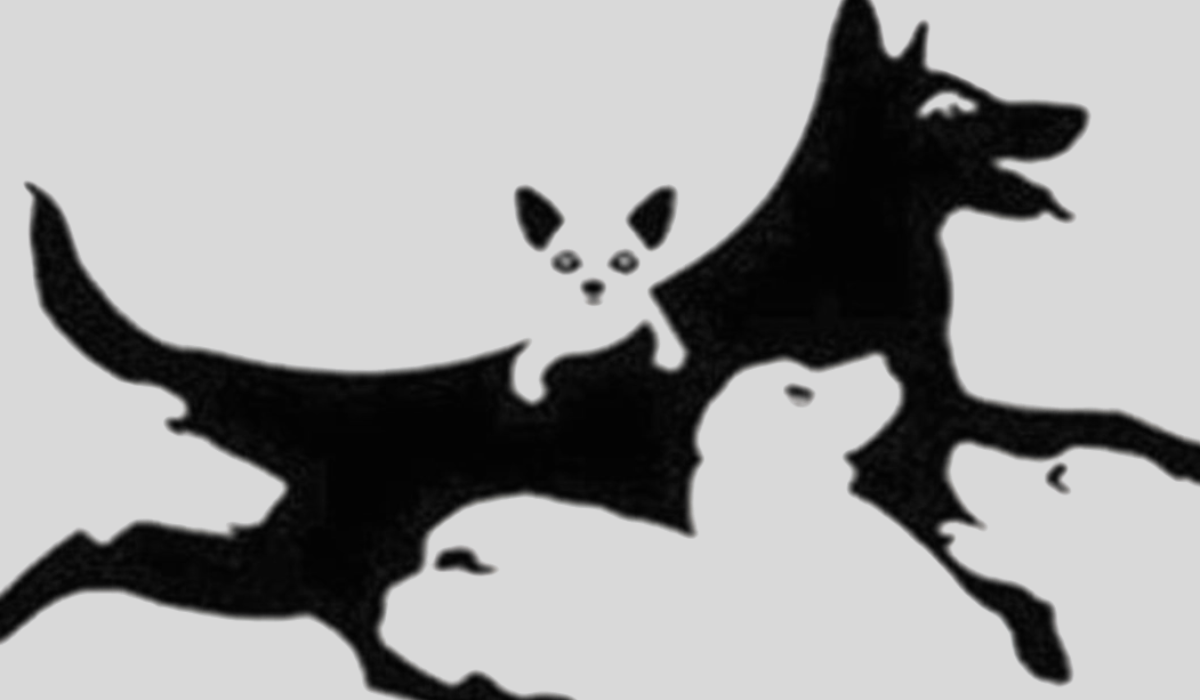 Te mennyi kutyát látsz a képen? A válaszod elárulja a szellemi életkorod