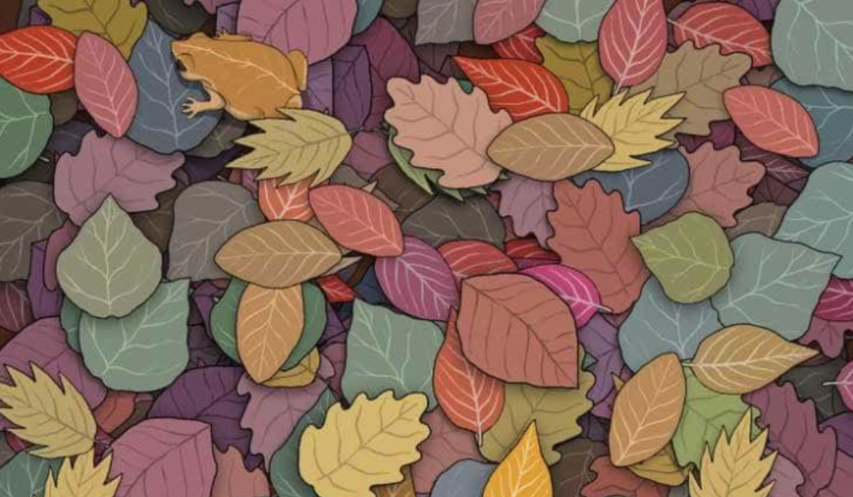 Csak a legfigyelmesebbek képesek megtalálni a levelek között a békát! Neked sikerült?