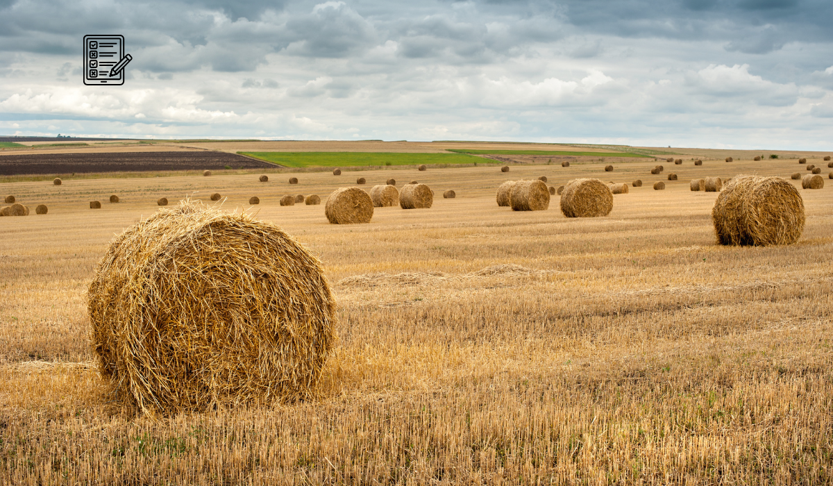 10 fogós kérdés, amire kevesebb mint az emberek 5%-a tud helyesen válaszolni
